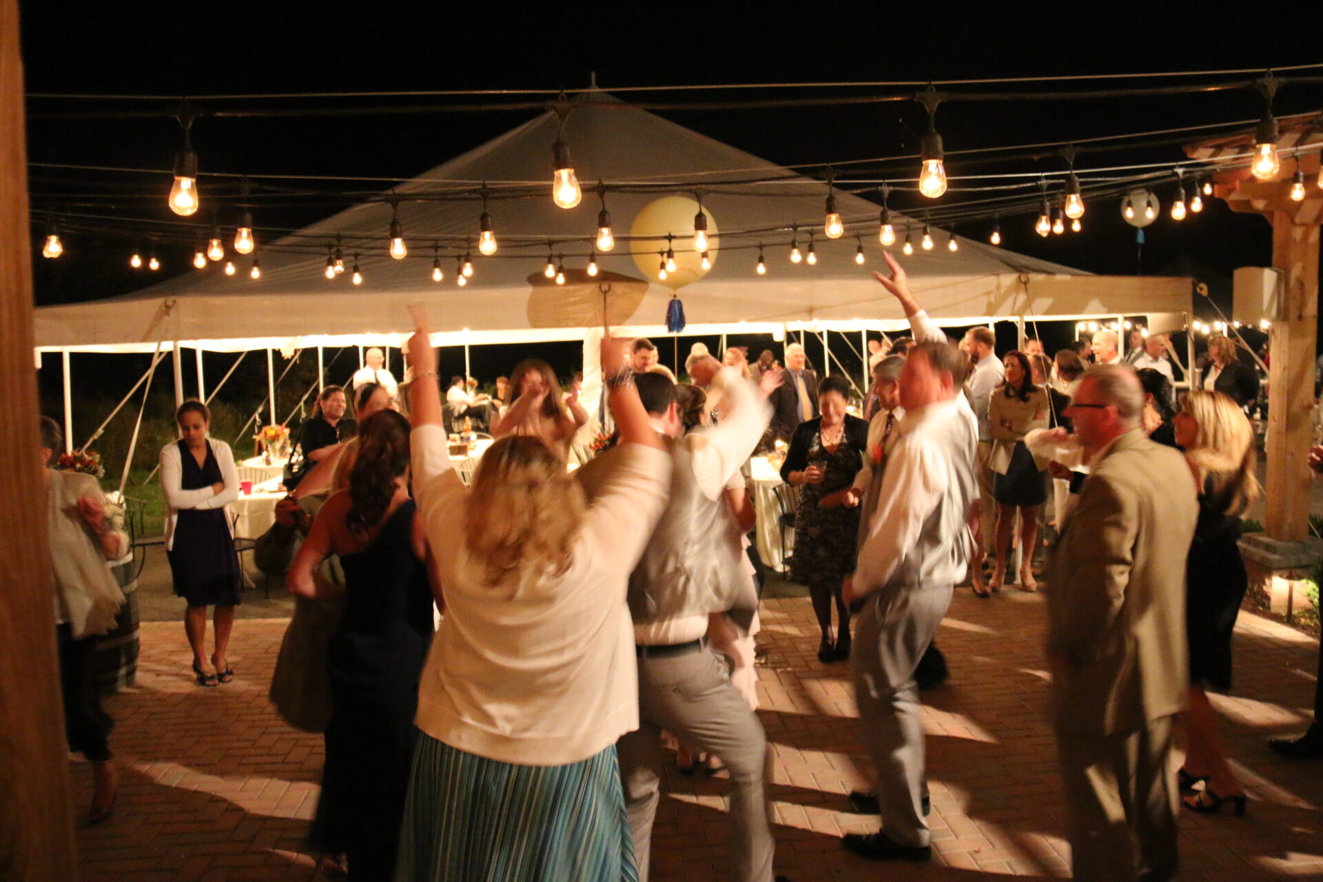 Wedding Plus-One Etiquette: A Guide for Couples & Guests - Zion Springs ...